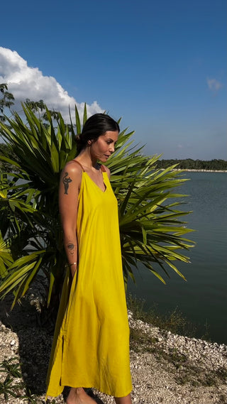 Solís